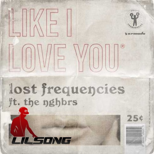Lost Frequencies Ft. The Nghbrs - Like I Love You